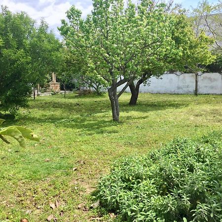 Salento Appartamenti Casalabate Ngoại thất bức ảnh