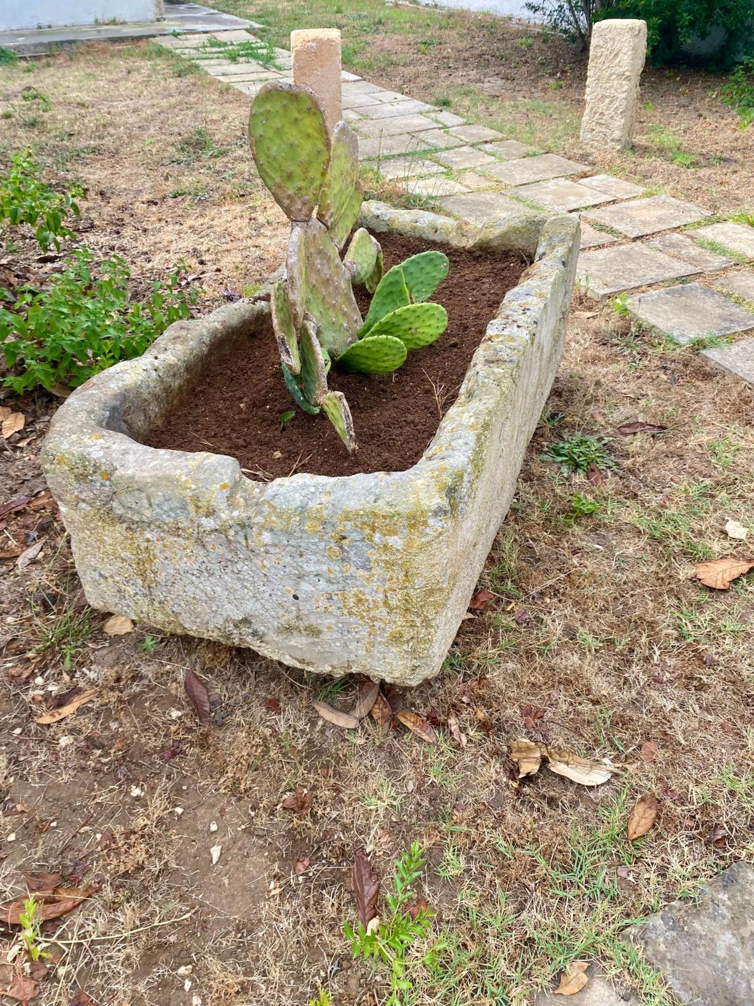 Salento Appartamenti Casalabate Ngoại thất bức ảnh