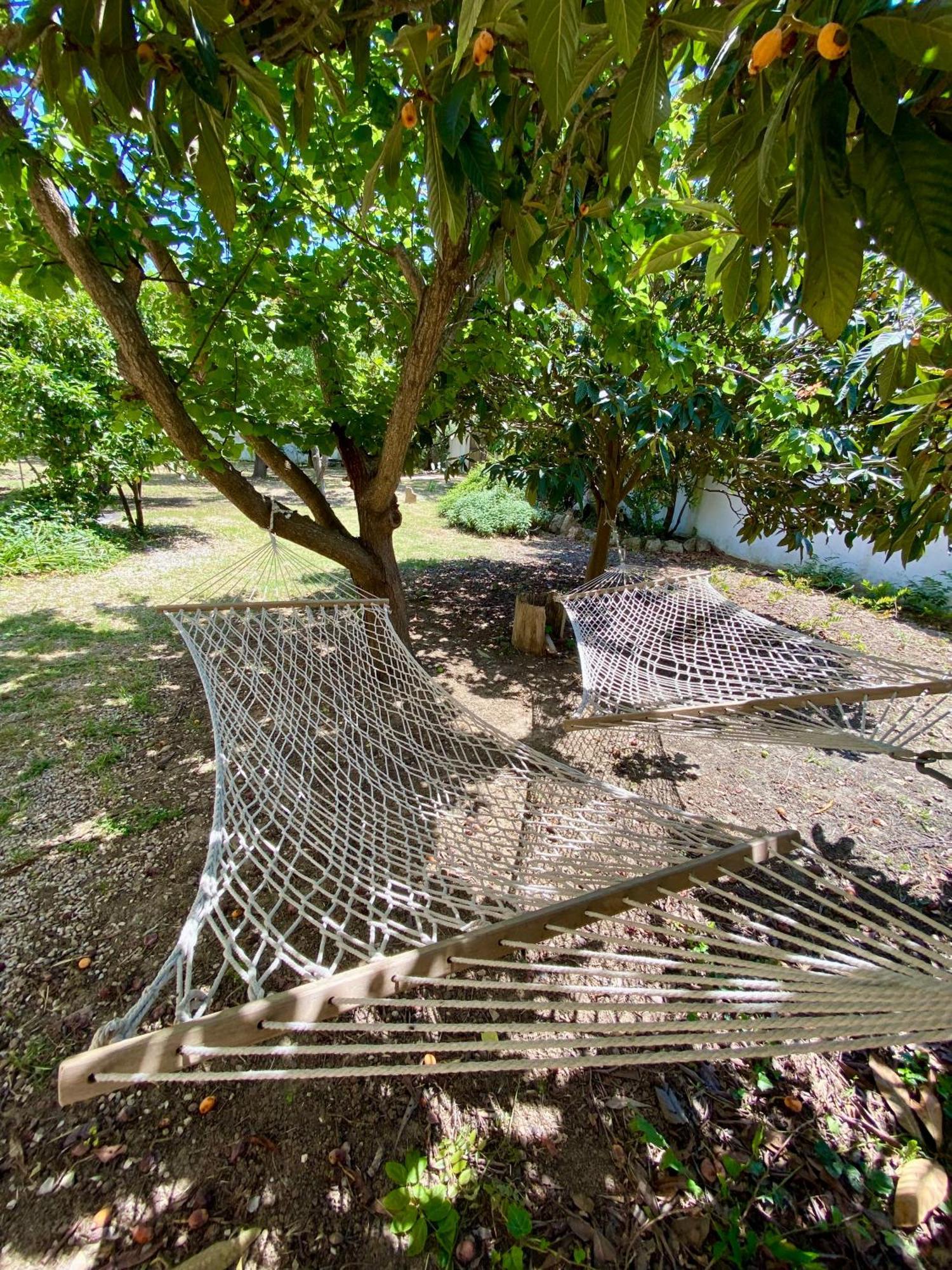 Salento Appartamenti Casalabate Ngoại thất bức ảnh