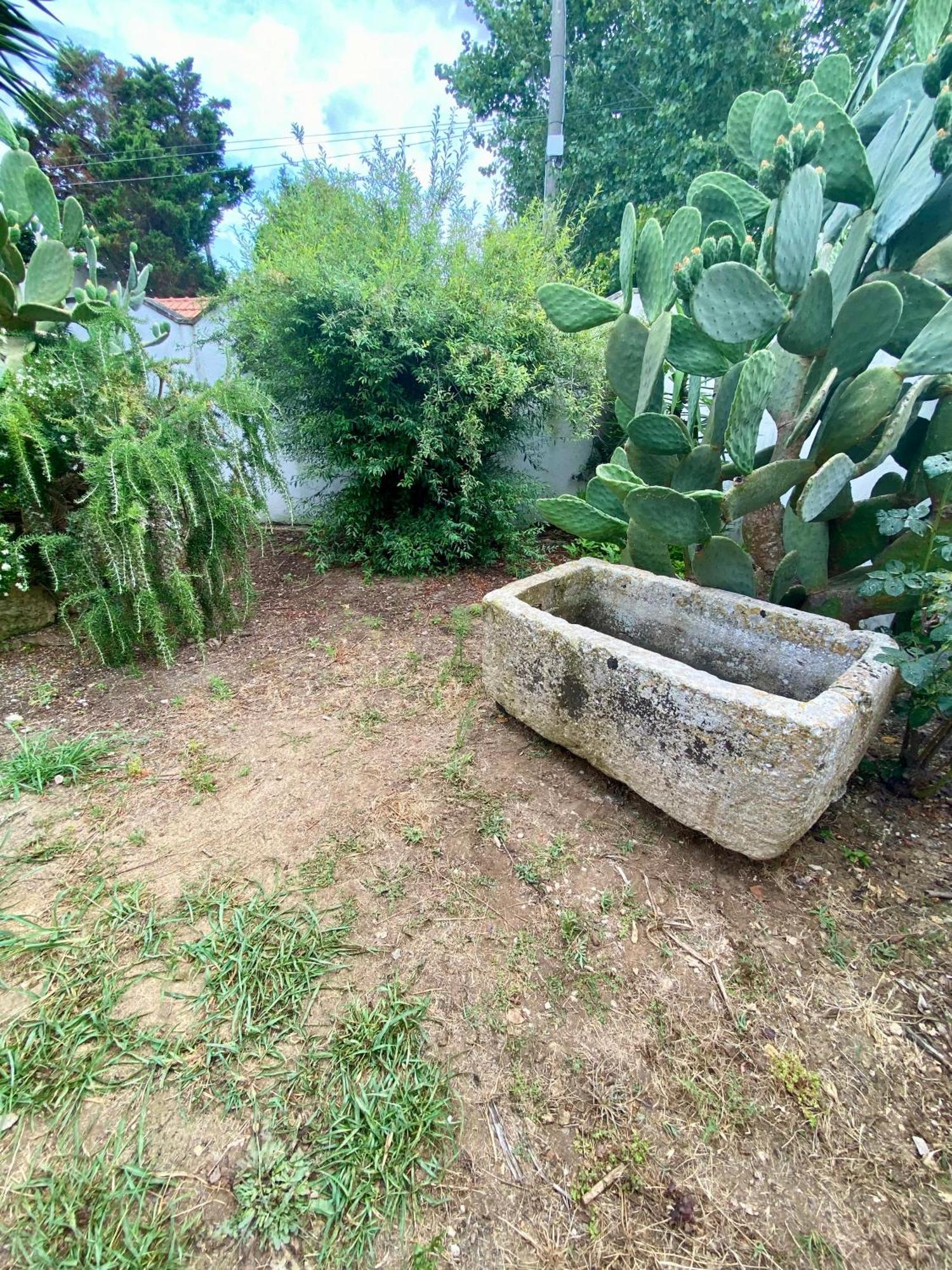 Salento Appartamenti Casalabate Ngoại thất bức ảnh